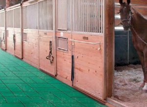 Плитка из резиновой крошки Гангарт Степ для конюшен, конских дорожек и животноводческих ферм